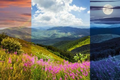 7 de estos, todas las semanas