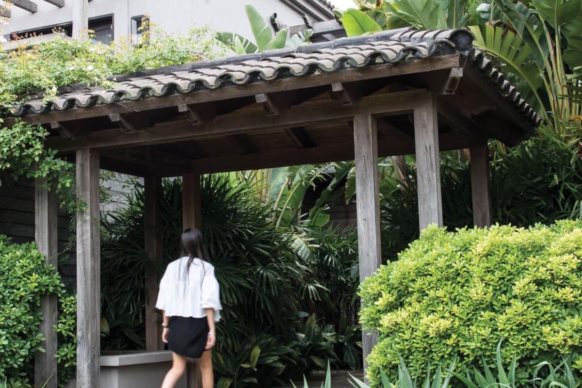 Jardines de entrada: propuestas para potenciar la fachada