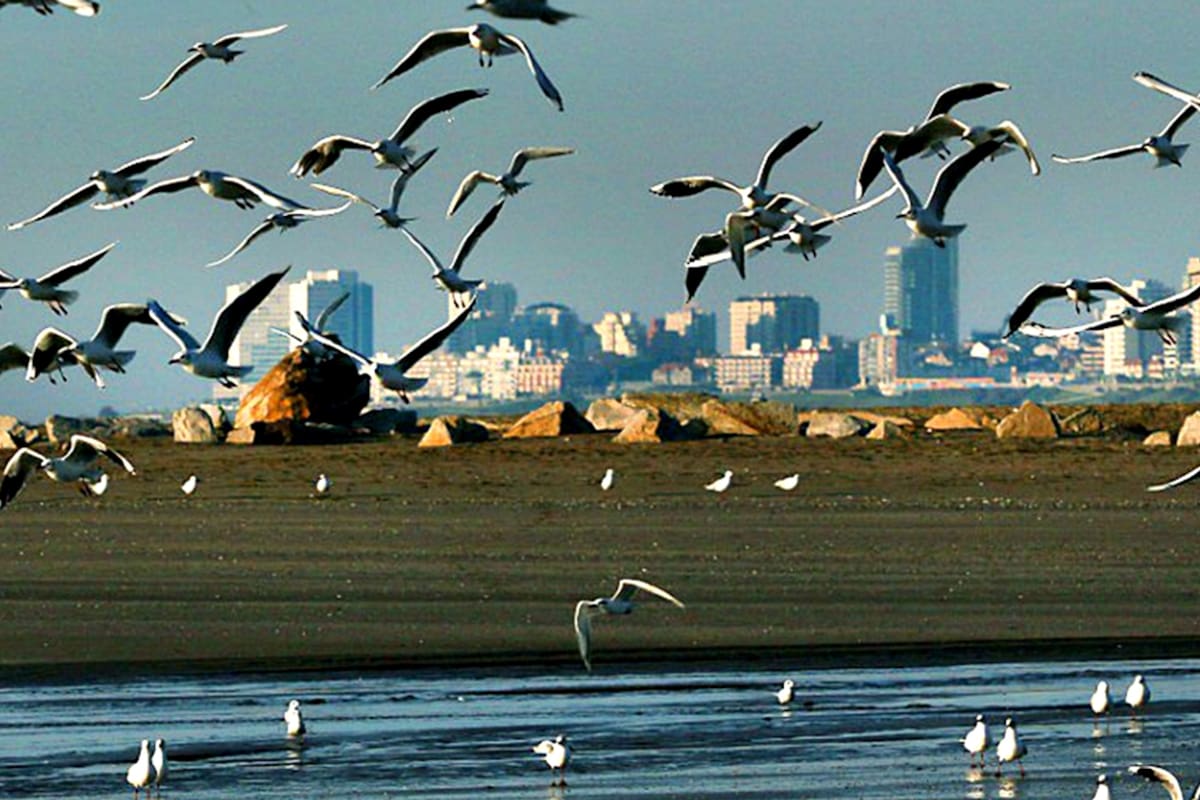 Las playas de Mar del Plata, en su máxima belleza, sin poder disfrutarlas