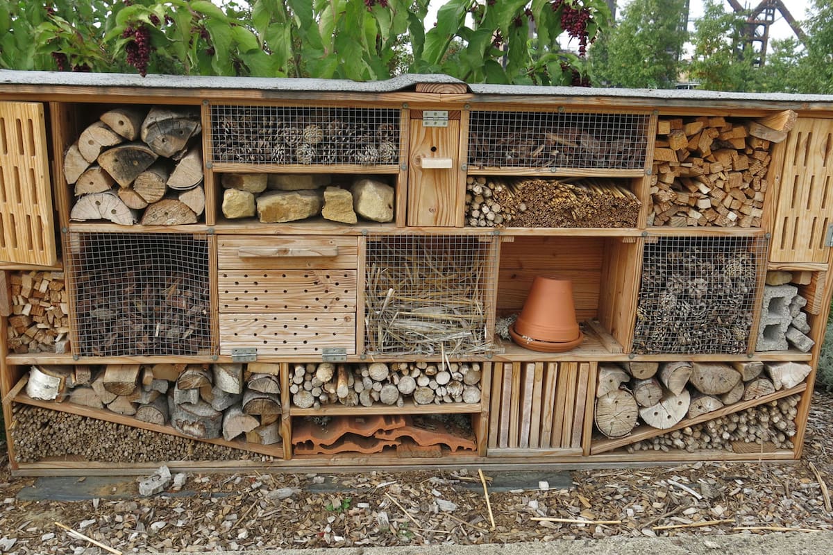 Hoteles de insectos, refugios de vida con beneficios para el jardín