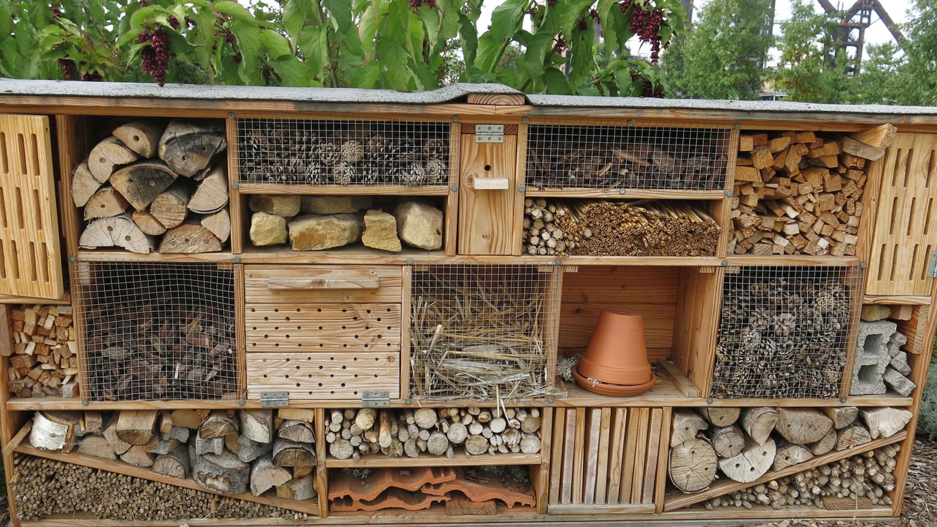 Hoteles de insectos, refugios de vida con beneficios para el jardín
