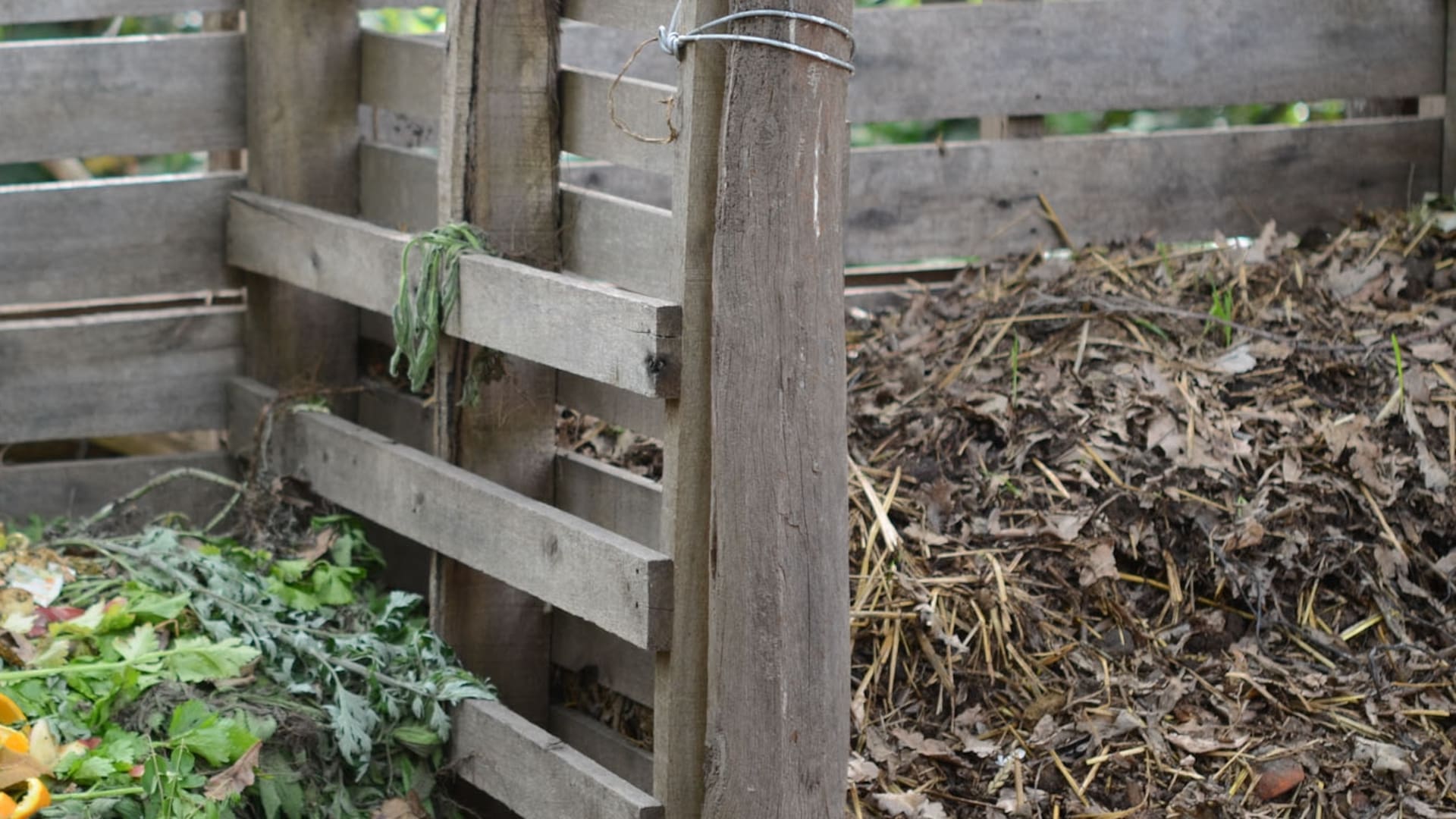 Diez preguntas para lograr un buen compost