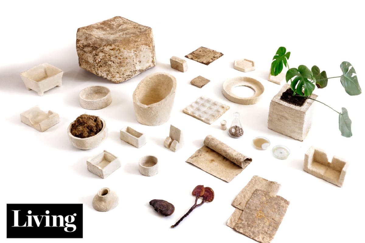 Hongos, carozos de palta y hasta borra de café: los nuevos materiales del diseño y la construcción
