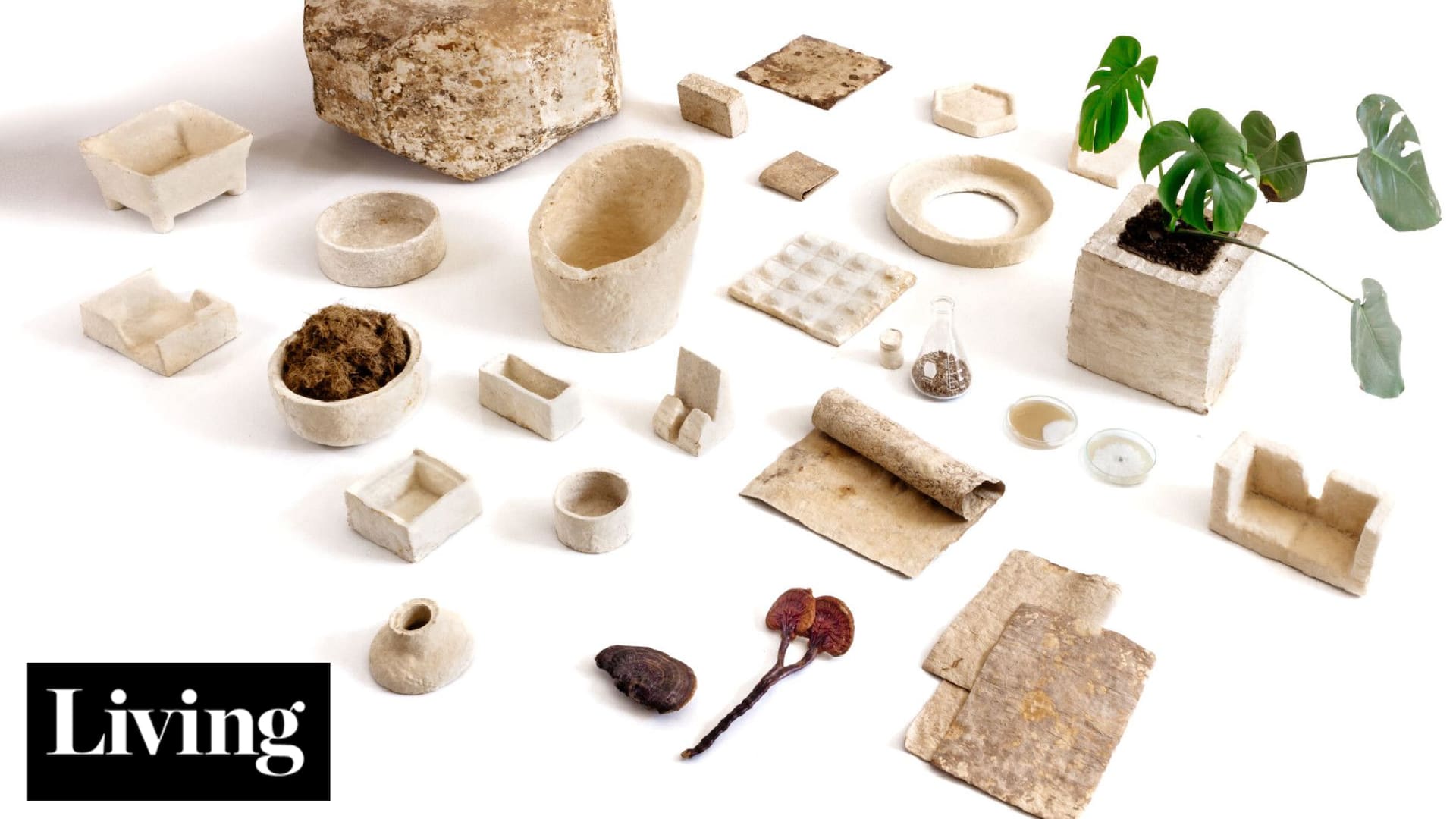 Hongos, carozos de palta y hasta borra de café: los nuevos materiales del diseño y la construcción