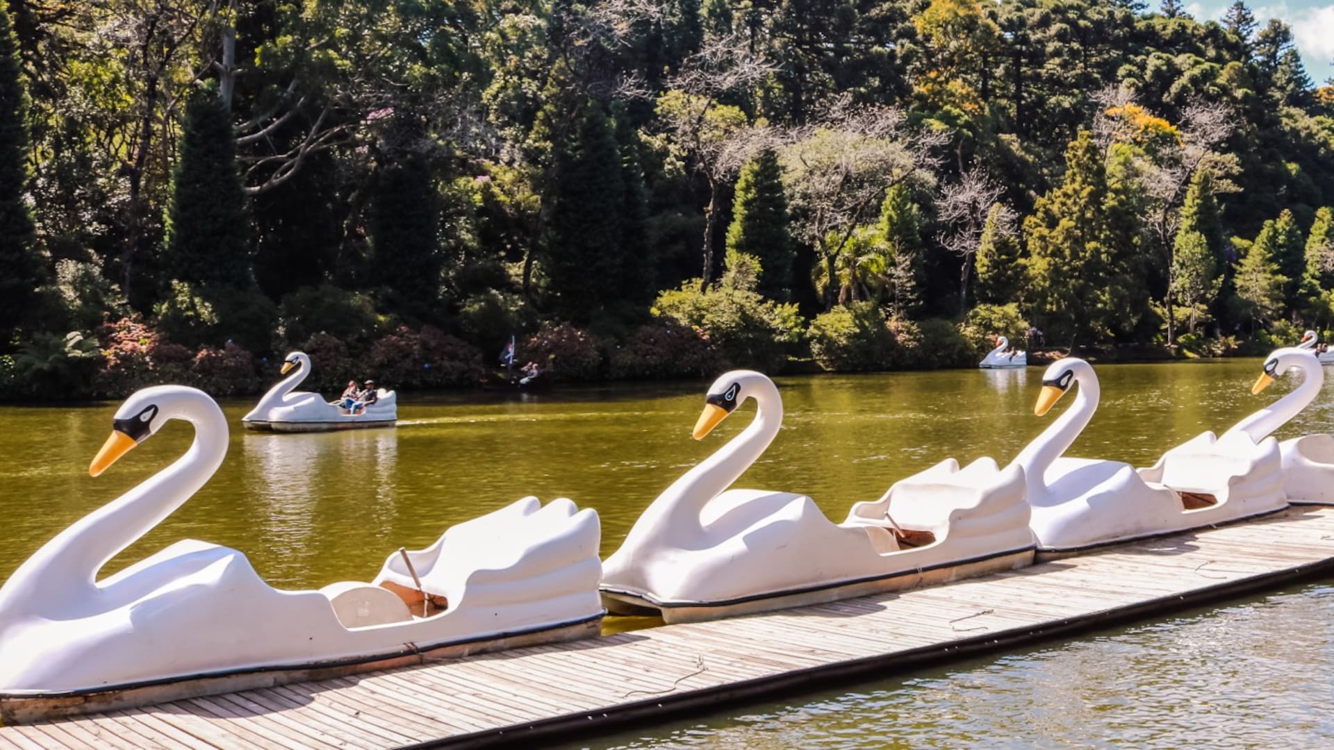 Gramado y Canela: donde Brasil festeja la Pascua y Navidad con espíritu alpino