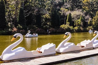 Gramado y Canela: donde Brasil festeja la Pascua y Navidad con espíritu alpino