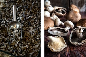 Se usan como reemplazo de la carne, son bajos en calorías, altos en nutrientes y otorgan el tan buscado sabor umami