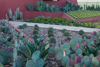 Un jardín andino diseñado para exponer la magnificencia de los cactus