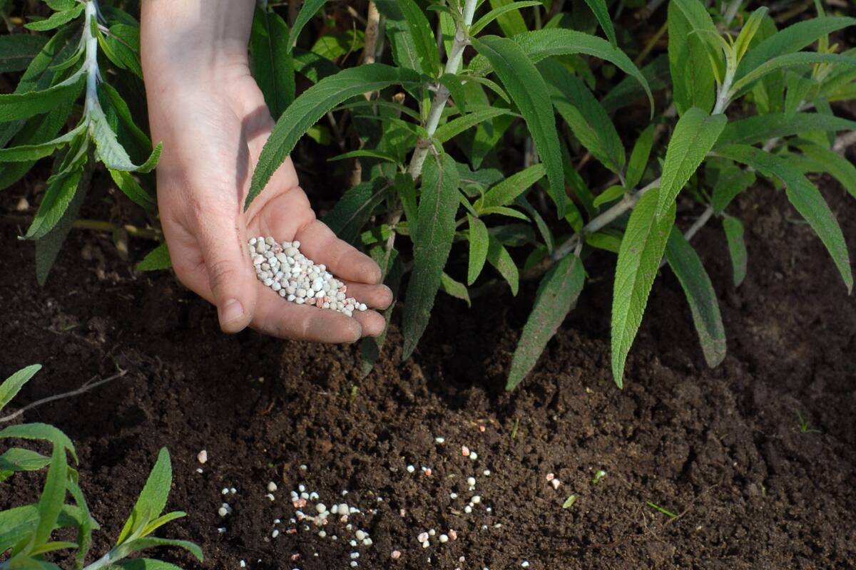 Complementos naturales para un jardín más sano y florido
