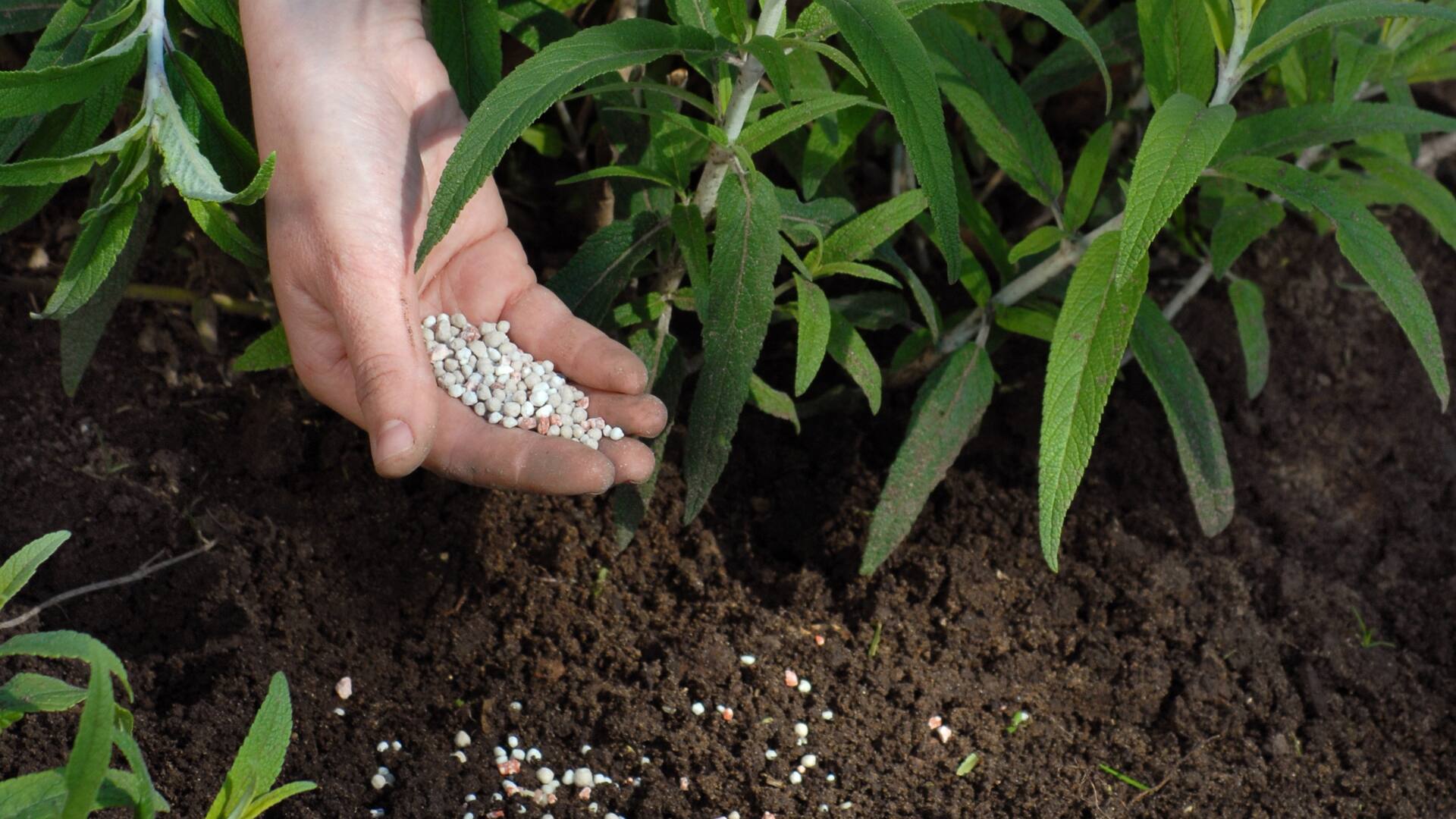 Complementos naturales para un jardín más sano y florido