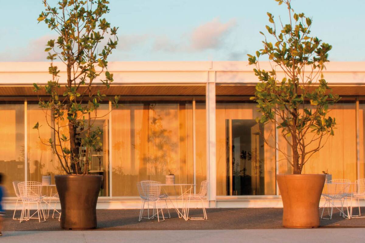 Universo macetas. Cuáles elegir para jardines, terrazas, balcones y patios