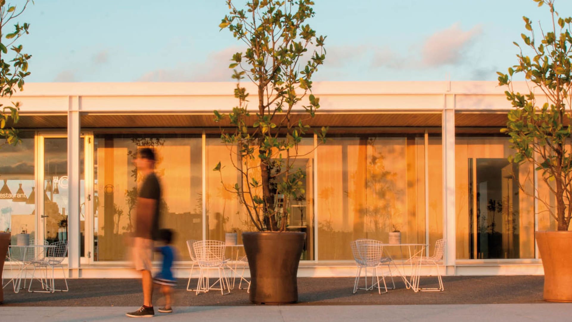 Universo macetas. Cuáles elegir para jardines, terrazas, balcones y patios