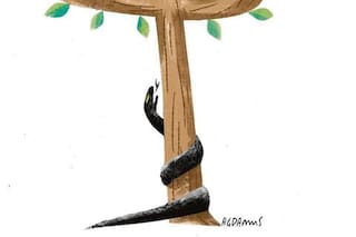 El germen del odio aún persiste