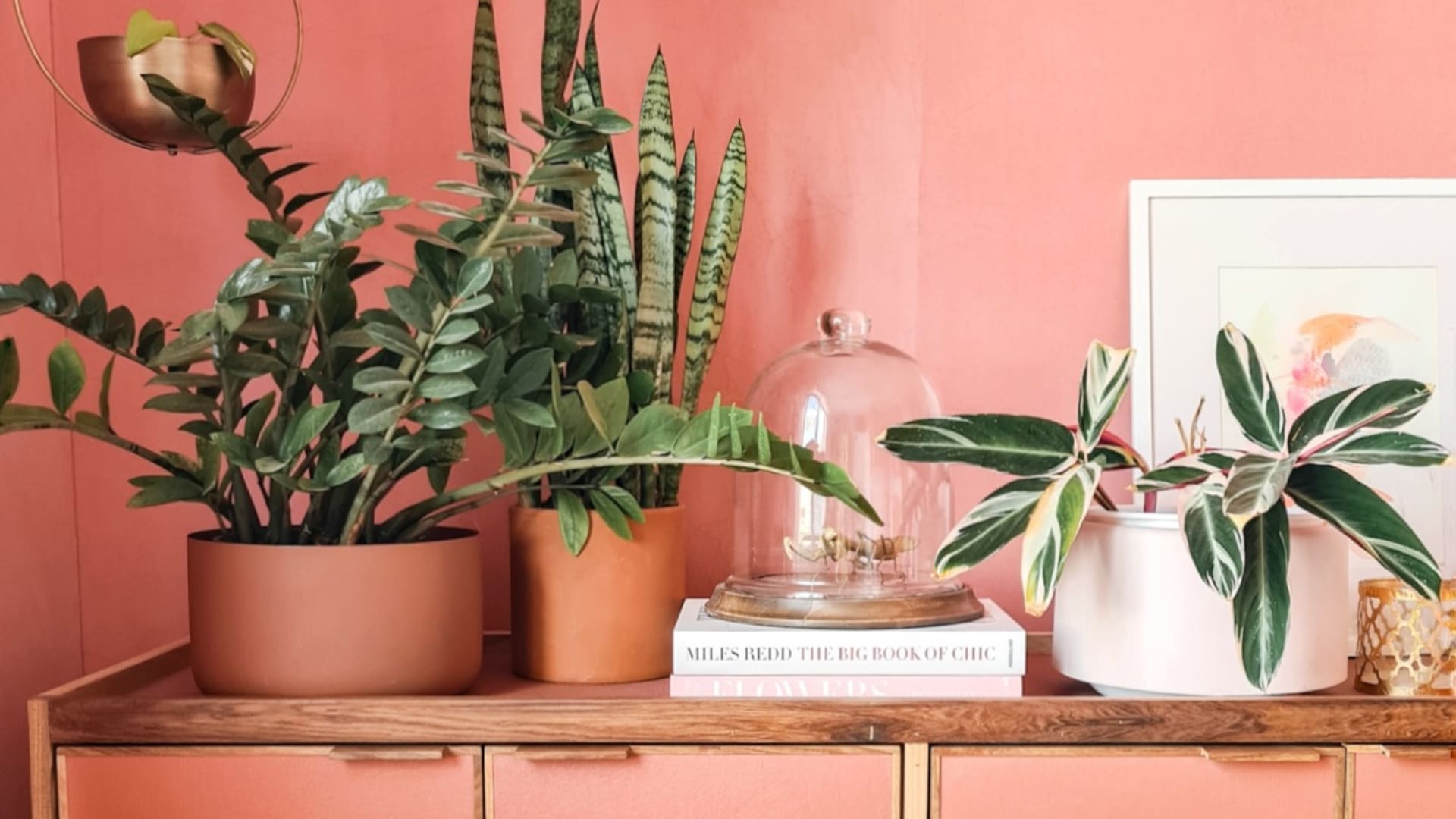 Plantas de interior que transforman la casa: decoración, tendencias y bienestar