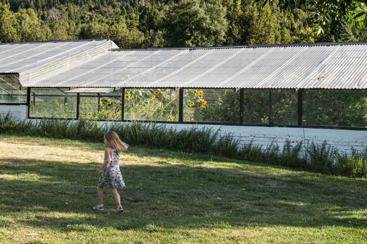 En Meliquina. La cooperativa de socios que cumplieron el sueño de trabajar y vivir en la naturaleza