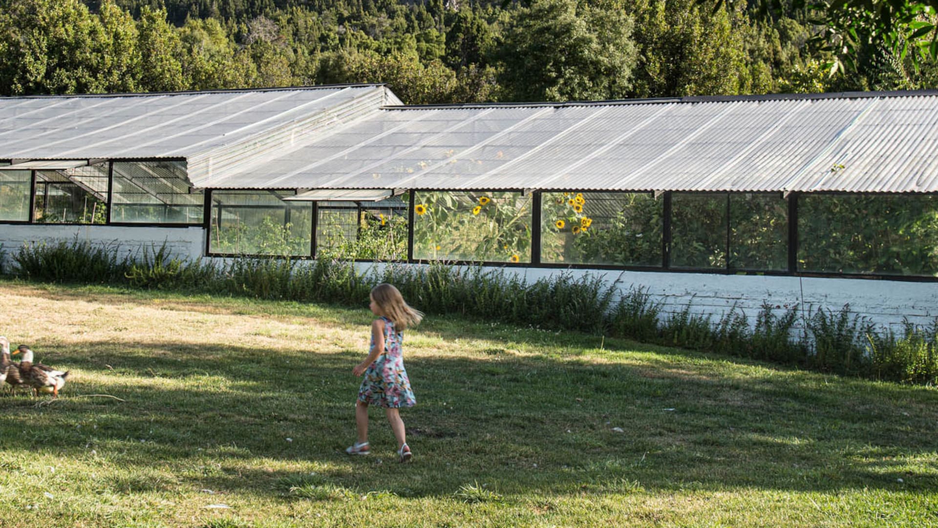 En Meliquina. La cooperativa de socios que cumplieron el sueño de trabajar y vivir en la naturaleza