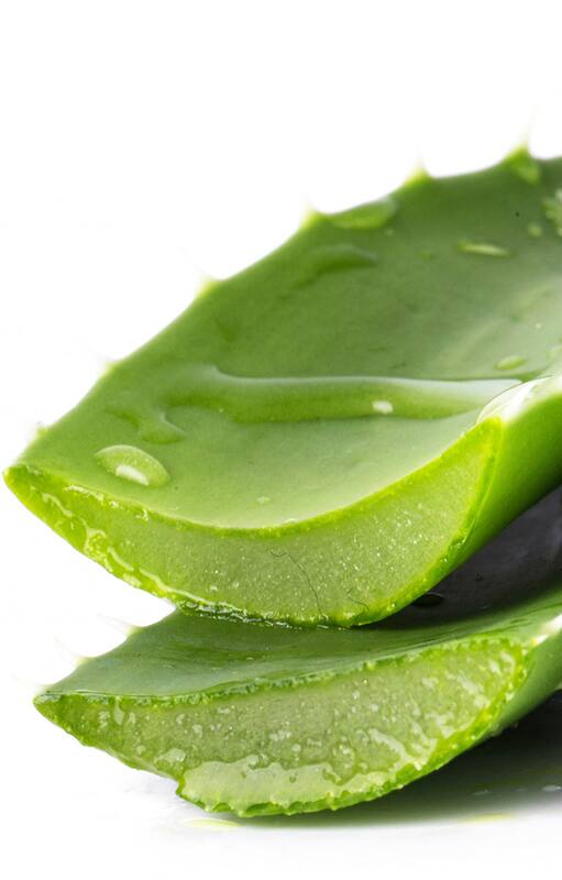 ¿Te gustaría mejorar el aspecto de tu piel? El aloe vera es la solución