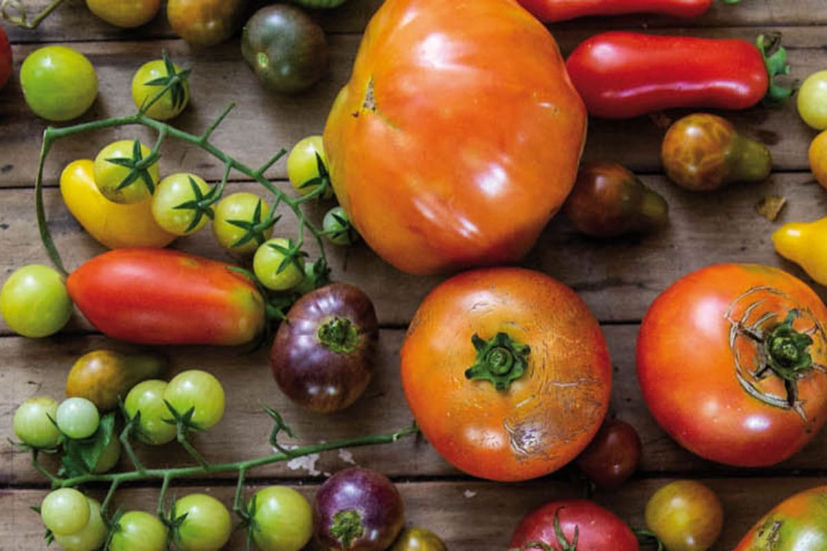 Cinco métodos para aprovechar al máximo las vitaminas de los vegetales que consumís