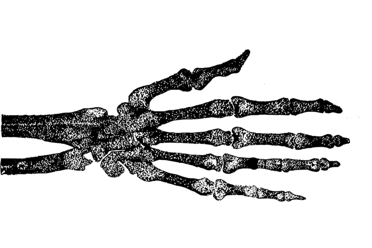 8 de noviembre, día mundial de la radiología