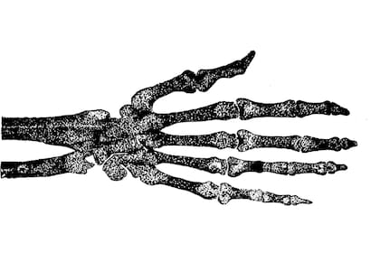 8 de noviembre, día mundial de la radiología