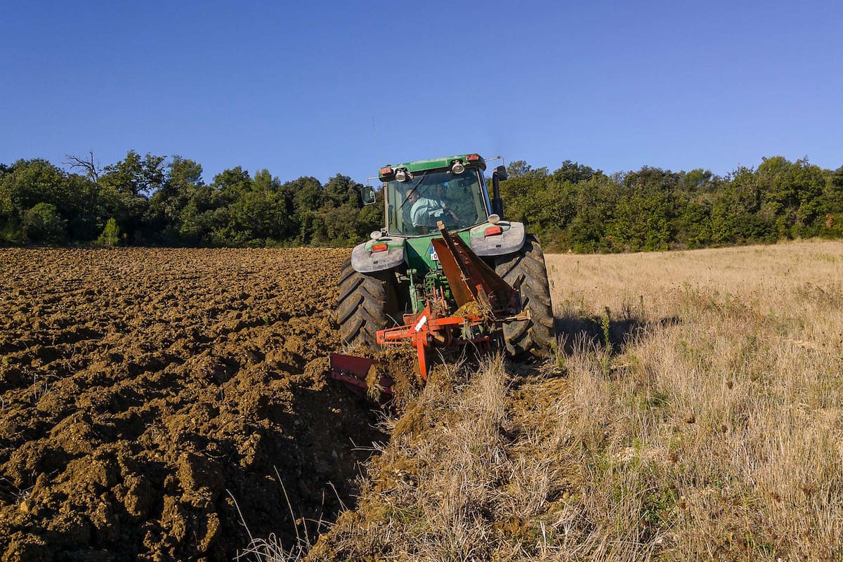 8 de octubre, día del trabajador rural