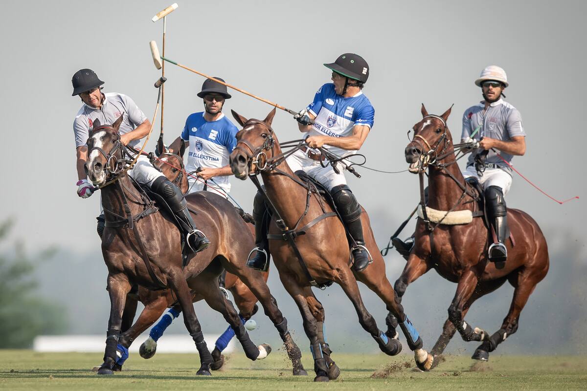 80° Abierto del Tortugas Country Club. 2020 Fecha 3.Primera semifinal del Abierto. Ellerstina Johor vs. RS Murus Sanctus