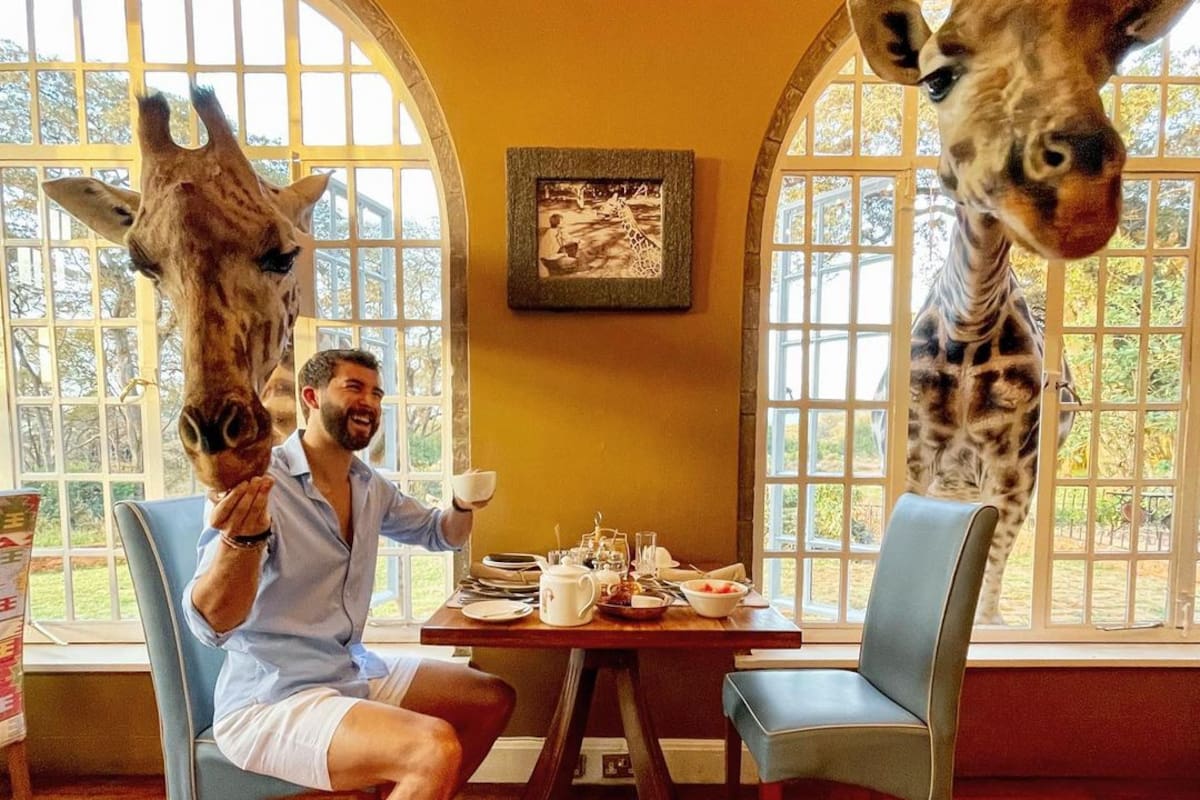 9 Stunning Hotels That Get You Close to Wildlife