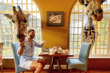 9 Stunning Hotels That Get You Close to Wildlife