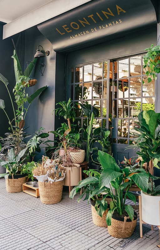 Creó un vivero boutique para que decorar con plantas fuera más sencillo