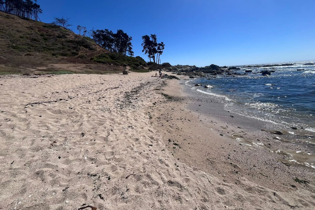 Papudo, la playa chilena donde los argentinos encuentran la tranquilidad que Viña del Mar no les da