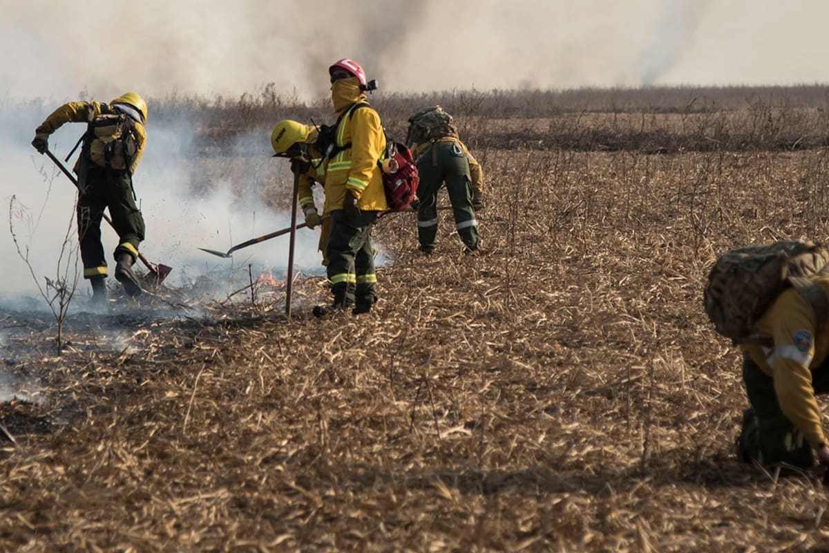 Delta. El incendio en el Paraná destruyó casi tres veces la superficie de CABA