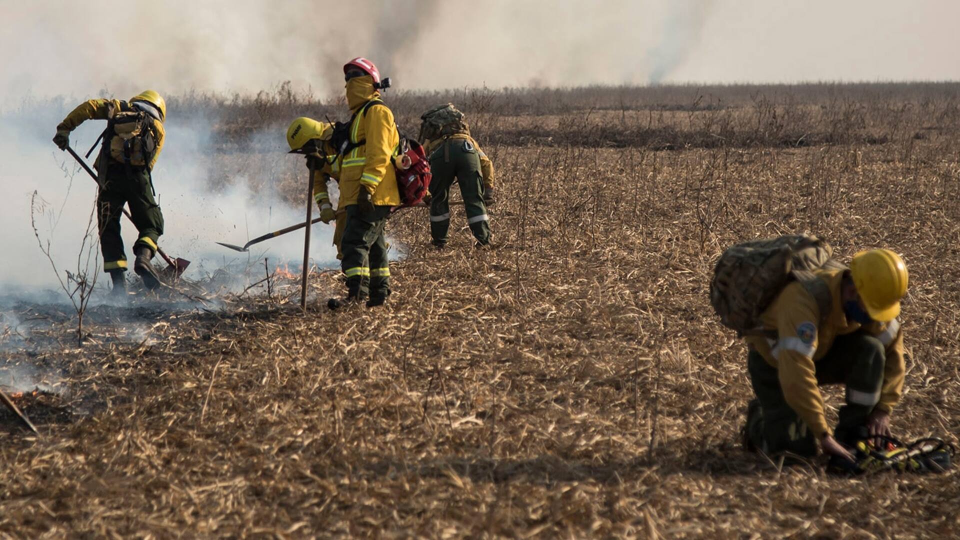 Delta. El incendio en el Paraná destruyó casi tres veces la superficie de CABA