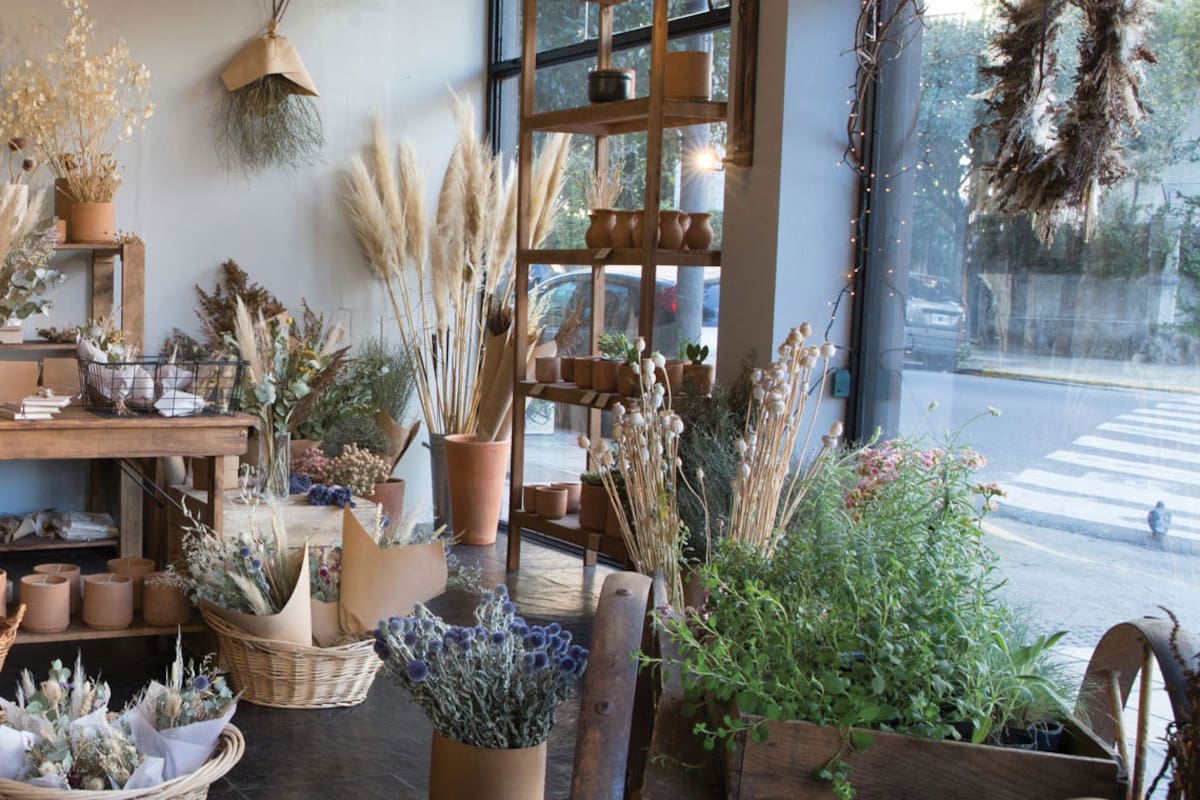 Cuatro tiendas para comprar plantas, flores y macetas con onda en Buenos Aires
