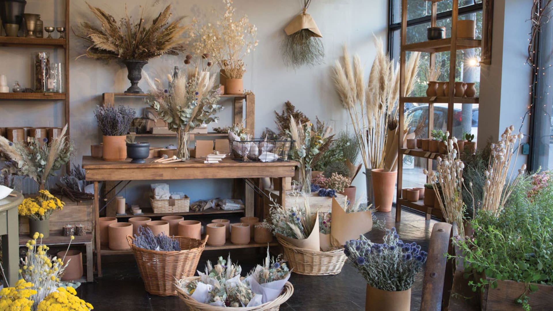 Cuatro tiendas para comprar plantas, flores y macetas con onda en Buenos Aires