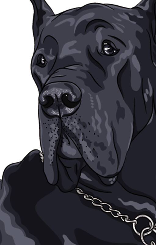La escritora a la que le metieron el perro