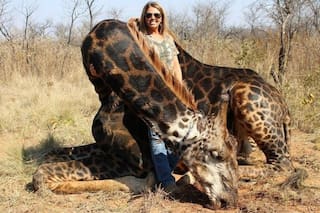 Cazó a una jirafa negra, se sacó una foto y las redes estallaron de bronca
