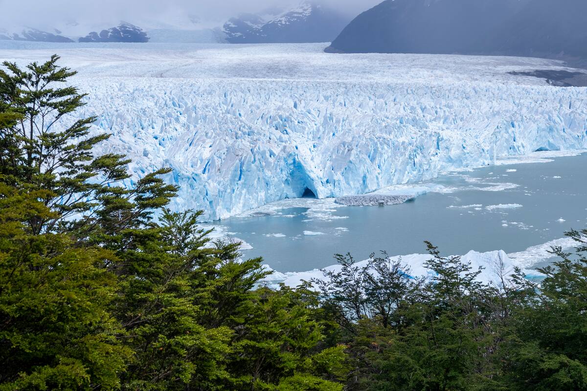 Los pioneros de la Patagonia: la familia que ayudó a construir El Calafate y propone una forma distinta de recorrer el glaciar