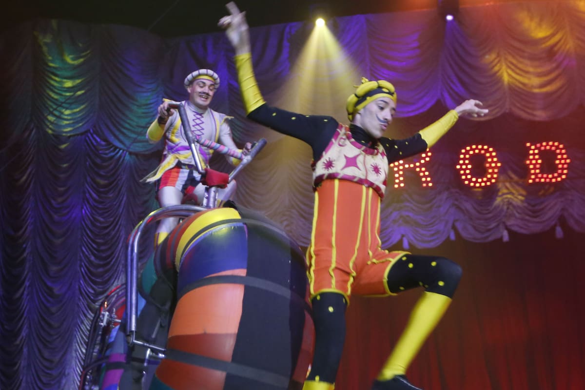 Vacaciones de invierno: los circos se renovaron y siguen atrayendo a los chicos