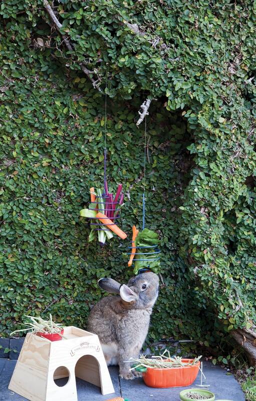 Día del animal: objetos de diseño que alegran la vida de nuestras mascotas
