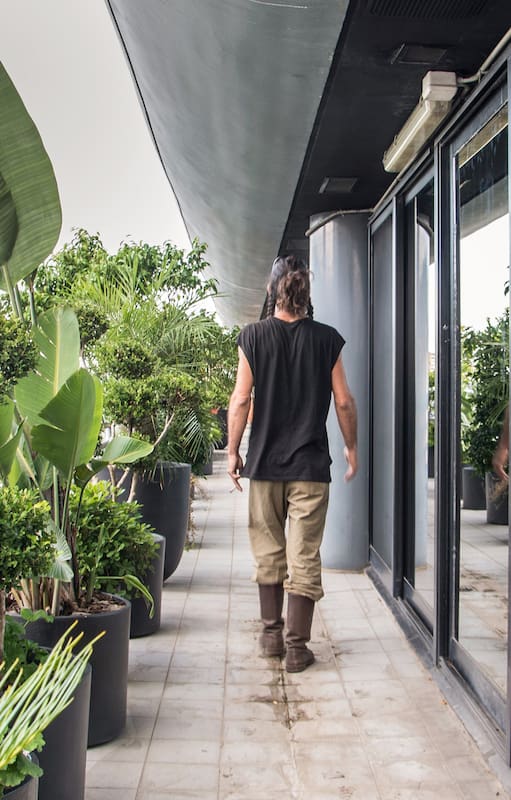 7 ideas y recursos para jardines de sombra, sol pleno, en desnivel o con mucho viento