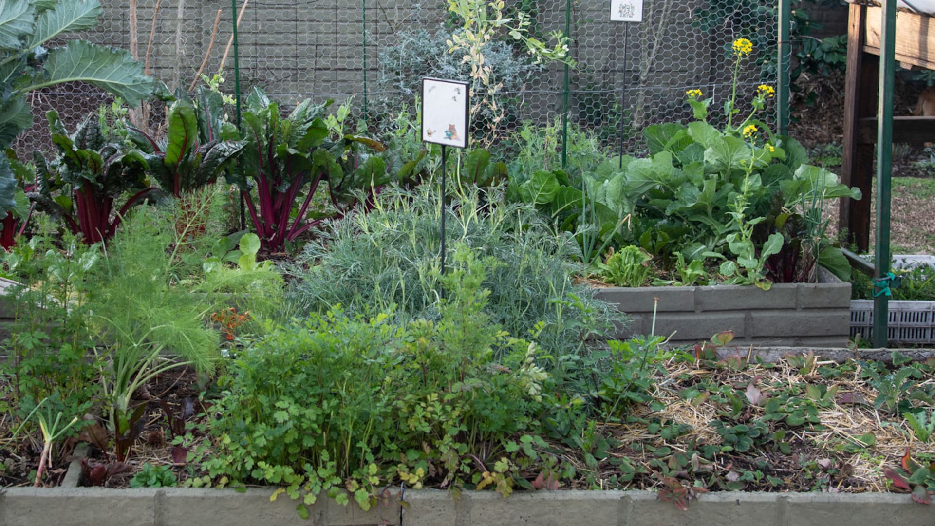Huerta orgánica: cómo un páramo se convirtió en un jardín comestible