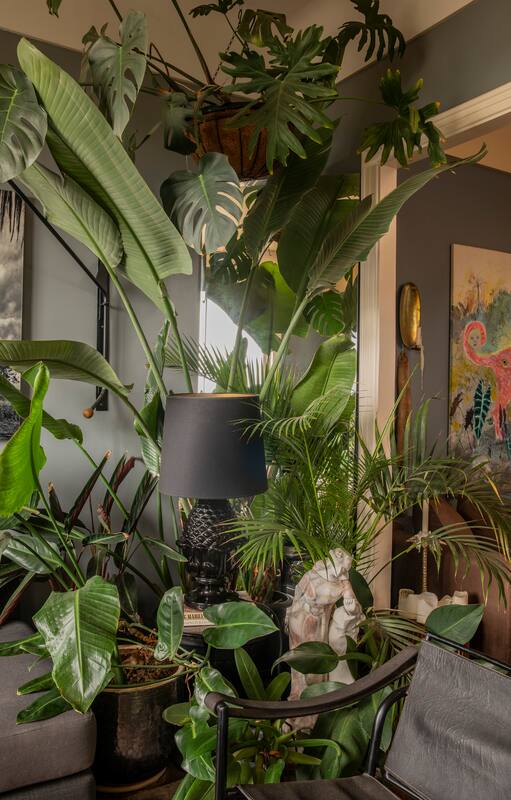 Con vista al Hipódromo de Palermo, arte, piezas vintage y muchas plantas en un espacio muy personal