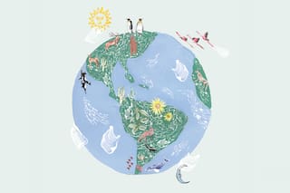 Ecodesafíos 2019: 10 consignas para ayudar al planeta este año
