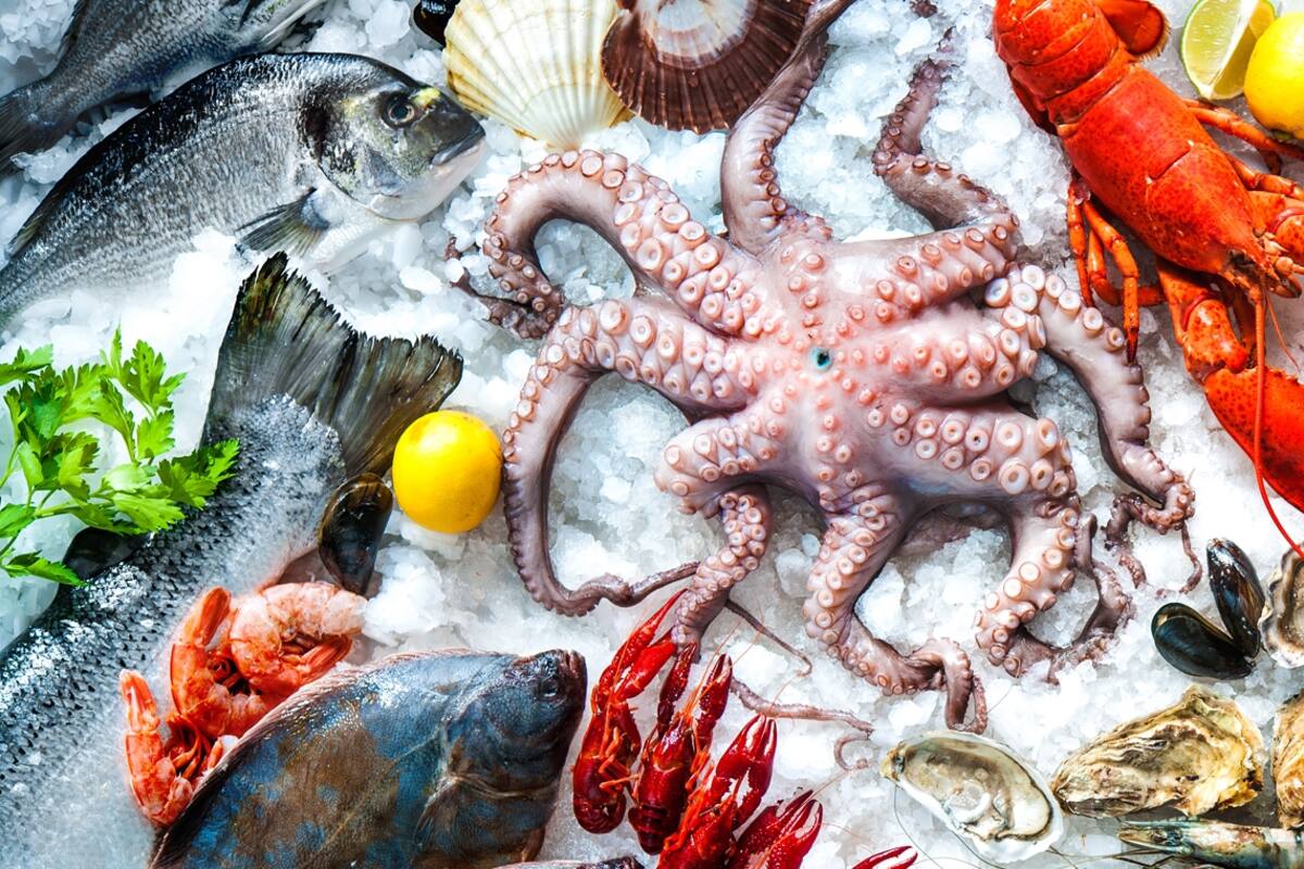 Costa Atlántica: tres platos indispensables para probar en Mar del Plata