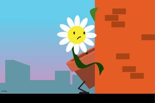 Una tímida primavera