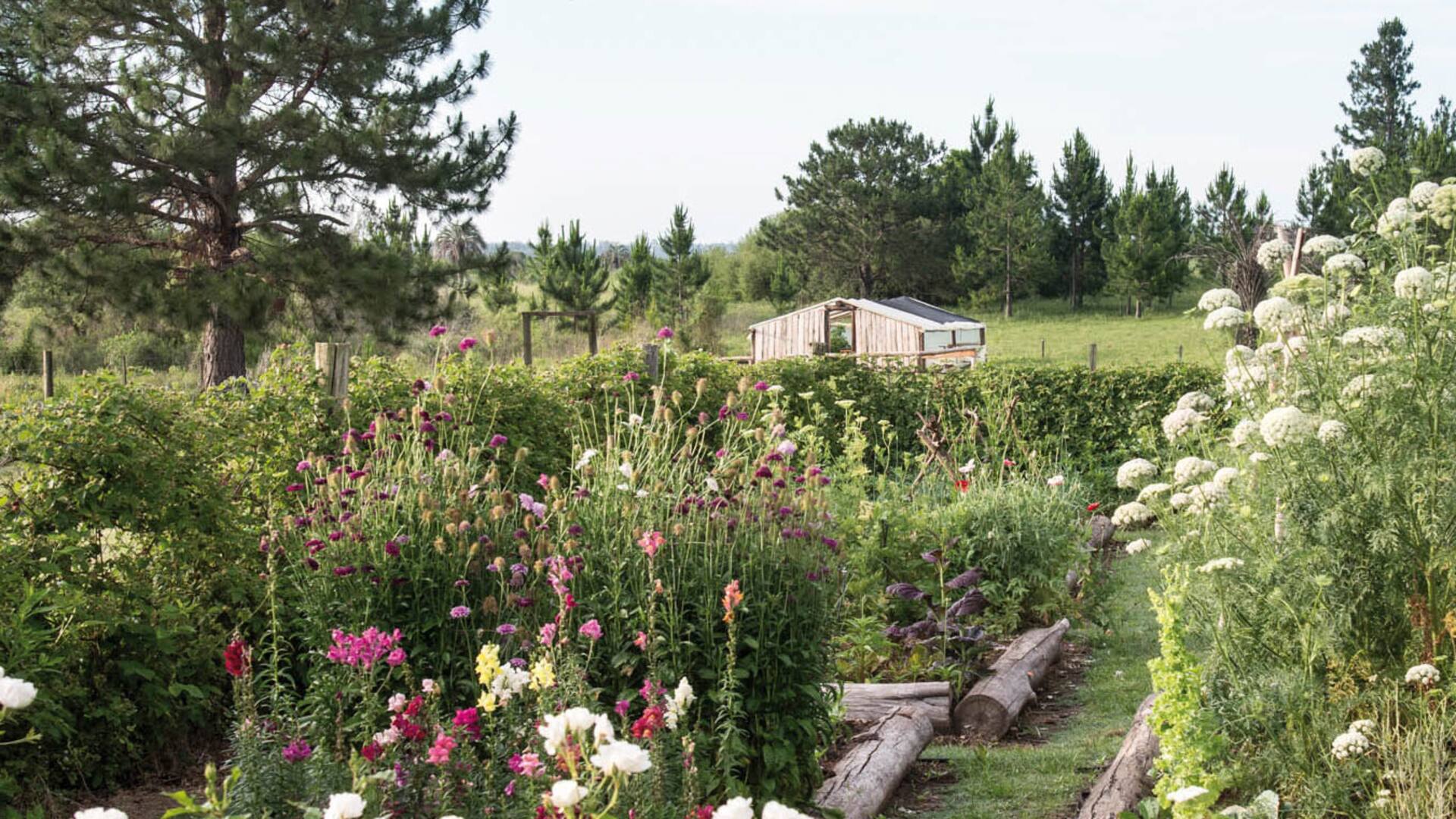 En Entre Ríos. Proyectaron una vida en el campo y hoy tienen una hostería con reminiscencias de la Provenza y la Toscana