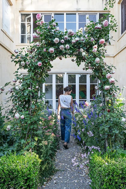 Jardines Con Enredaderas () Jardines Con Enredaderas