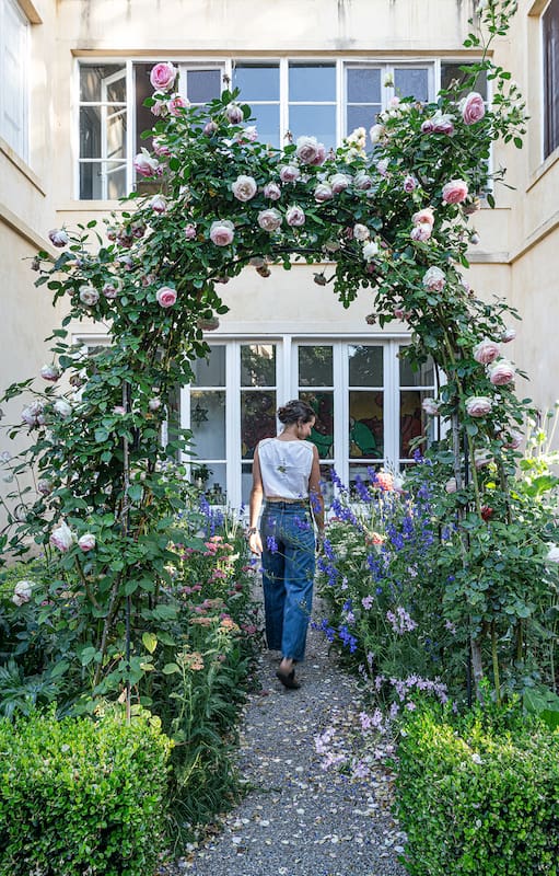 8 enredaderas con mucho encanto que llenarán de perfume tu jardín
