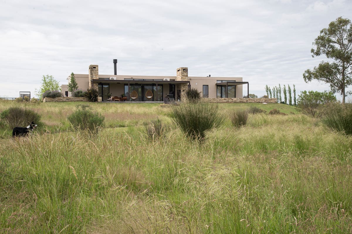 Senderos y praderas de nativas marcan el ritmo de un jardín naturalista con espíritu pampeano