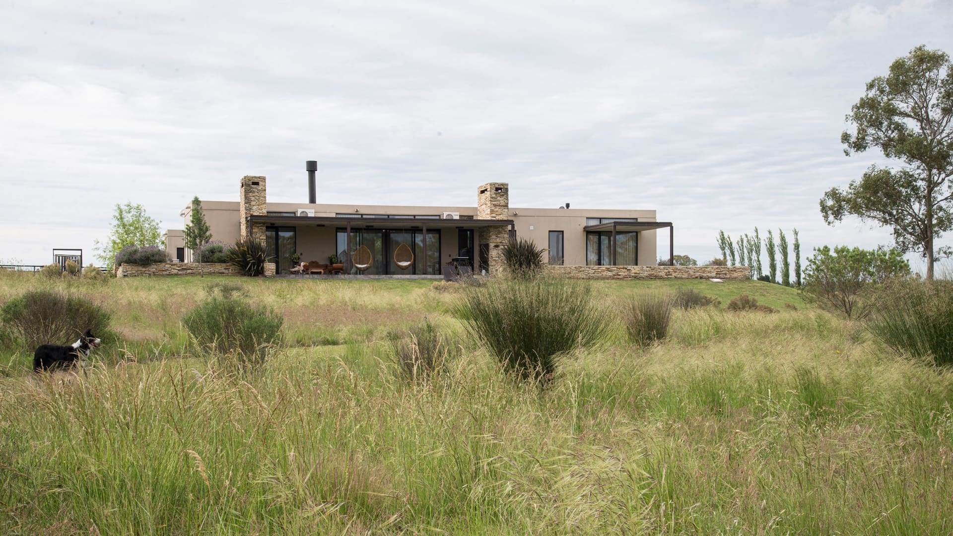 Senderos y praderas de nativas marcan el ritmo de un jardín naturalista con espíritu pampeano